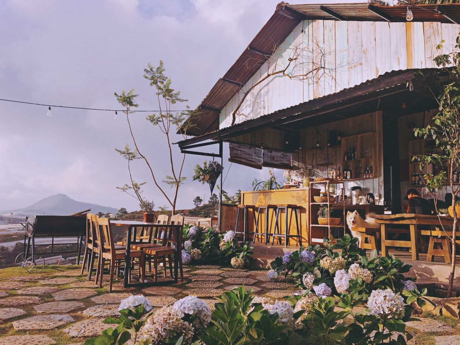 Hai Ả Homestay – Cafe – Bakery nổi tiếng với không gian cực đẹp và cực “chill”